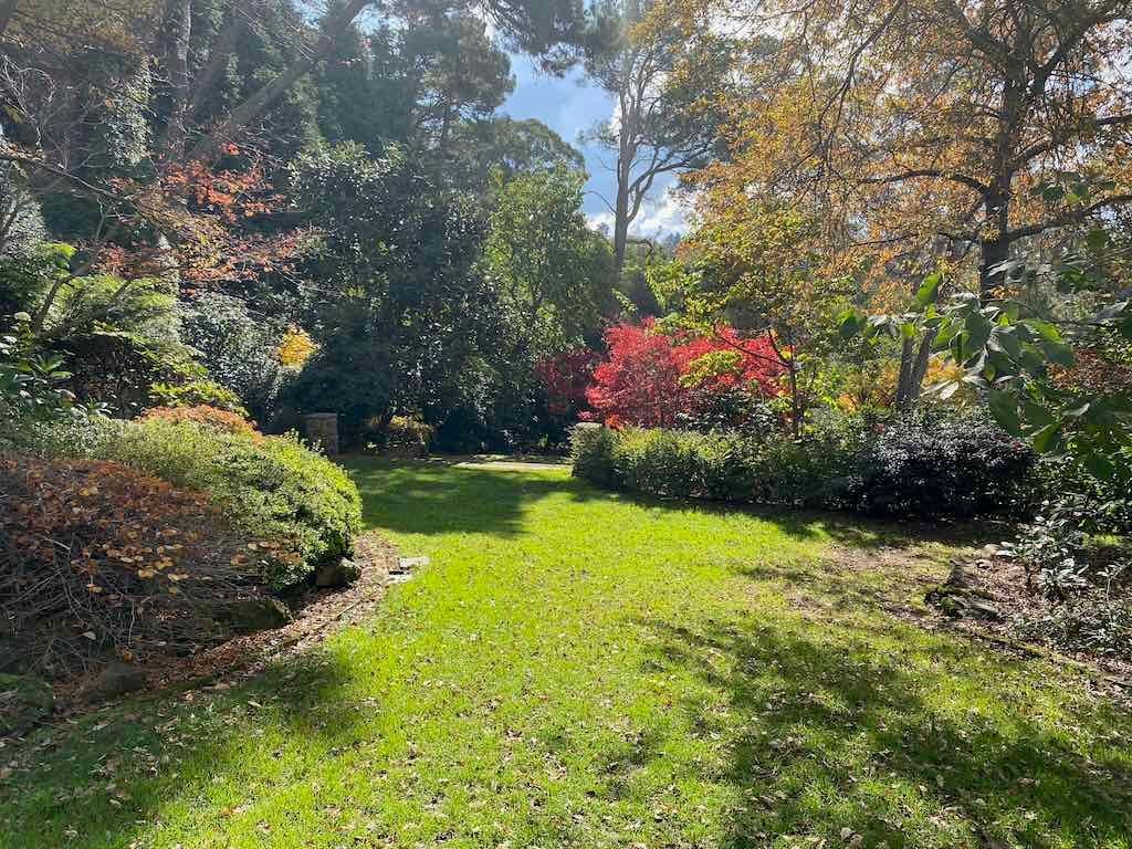 May 2023 Bathurst Mayfield Garden Tour Image -64605bbdd3c1b